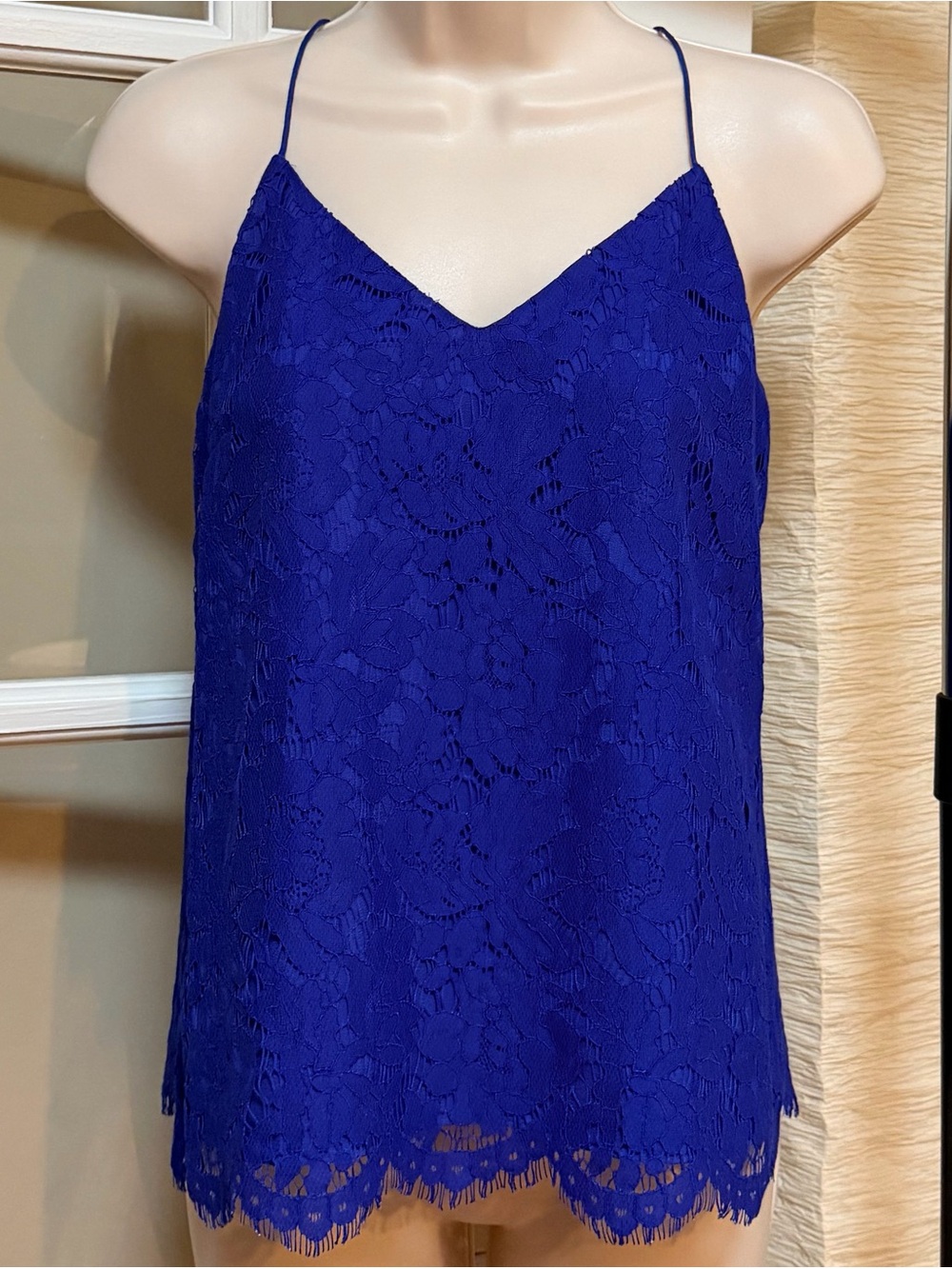 J. Crew Royal Blue Floral Lace Camisole